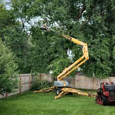 Best Storm Damage Tree Cleanup  in Lakeland South, WA