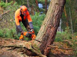 Best Aeration Services  in Lakeland South, WA
